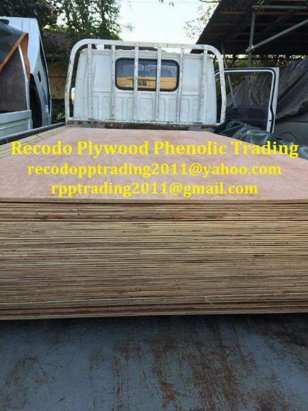 Ordinary Plywood And Marine Plywood For Sale 