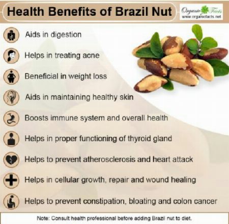 brazil nuts philippines