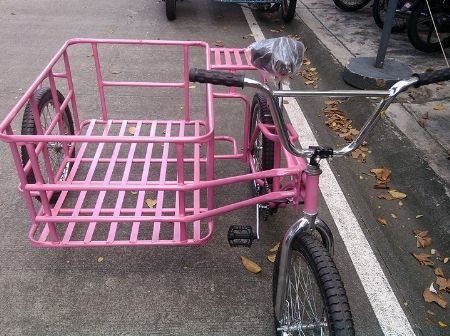 bicycle sidecar for sale