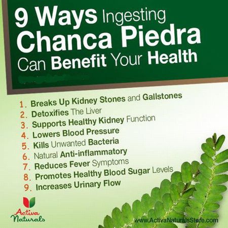 Chanca Piedra 500mg 120caps Chanca Piedra Made In Usa Nutrition Food Supplement Metro Manila Philippines Bilina Murato