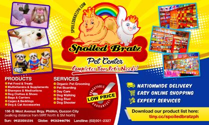 Spoiled bratz hot sale pet center