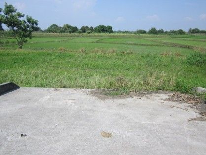 Farm Lot Naic Cavite [ Farms & Ranches ] Cavite City, Philippines ...